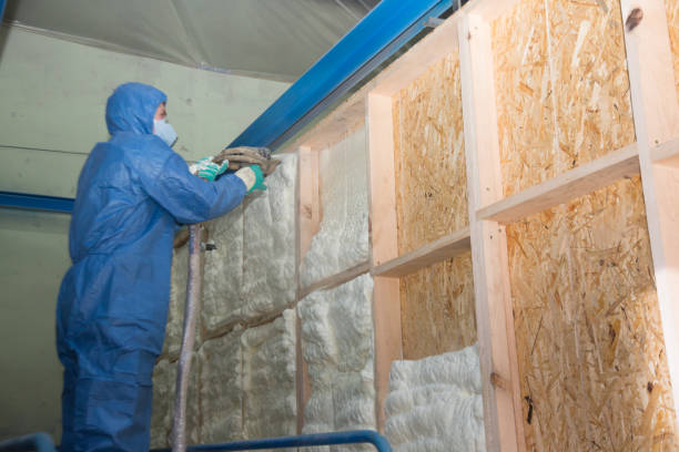 Professional Insulation Contractor in Guttenberg, IA